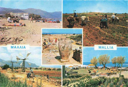 73980612 Mallia_Crete Strand Feldarbeit Windmuehlen - Grèce