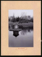 Fotografie Brück & Sohn Meissen, Ansicht Wurzen, Teich Mit Vogelinsel Im Stadtpark  - Places