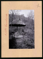 Fotografie Brück & Sohn Meissen, Ansicht Cossebaude, Pilz Im Park, Pavillon  - Places