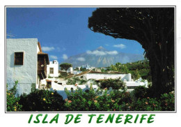 73980486 Icod_de_los_Vinos_Tenerife_Islas_Canarias_ES Blick Zum Teide Vulkan - Sonstige & Ohne Zuordnung