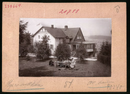 Fotografie Brück & Sohn Meissen, Ansicht Schellerhau I. Erzg., Gartenpartie Im Oberer Gasthof  - Lieux