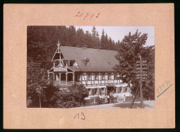 Fotografie Brück & Sohn Meissen, Ansicht Bärenburg I. Sa., Partie Am Hotel Waldhaus  - Lieux