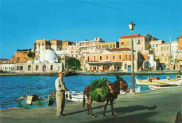 73980480 Canea_Chania_Crete_GR Hafen Esel Lastentier - Greece
