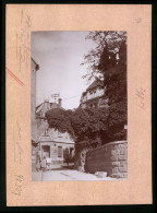 Fotografie Brück & Sohn Meissen, Ansicht Stolpen I. Sa., Strasse Altes Tor Mit Bäckerei Max Wünsche  - Places