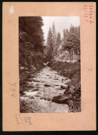 Fotografie Brück & Sohn Meissen, Ansicht Marienberg I. Sa., Blick Auf Den Bach Im Natschungtal  - Lieux