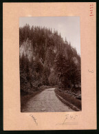 Fotografie Brück & Sohn Meissen, Ansicht Marienberg I. Sa., Strasse Im Schwarzwassertal  - Lieux