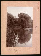 Fotografie Brück & Sohn Meissen, Ansicht Burgstädt I. Sa., Blick über Den Teich Auf Die Holzbrücke Im Stadtpark  - Lieux