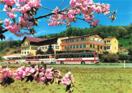 73980413 Reichelsheim_Odenwald Gasthaus Pension Zum Hohenstein Busreisen - Sonstige & Ohne Zuordnung