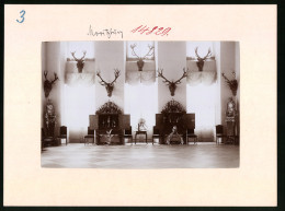 Fotografie Brück & Sohn Meissen, Ansicht Moritzburg, Im Speisesaal Mit Jagdtrophäen Des Jagdschlosses Moritzburg  - Places