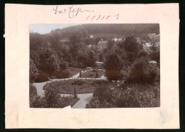 Fotografie Brück & Sohn Meissen, Ansicht Bad Elster, Blick Auf Den Rosengarten Im Südpark  - Lieux