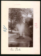 Fotografie Brück & Sohn Meissen, Ansicht Bad Elster, Fontaine Im Park An Der Promenade  - Lieux