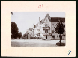 Fotografie Brück & Sohn Meissen, Ansicht Torgau, Uferstrasse Mit Delikatessenladen Proschwitz  - Lieux