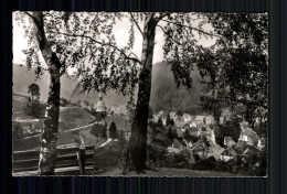 Wildemann, Oberharz, Blick Von Den Drei Birken - Autres & Non Classés