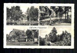 Gifhorn, Heidesee, Kurhaus, Terrasse, Pavillon Am See, Heidepartie - Other & Unclassified