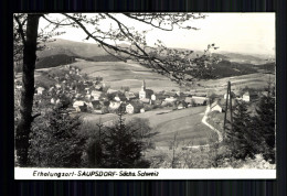Saupsdorf/Sächs. Schweiz, Blick Auf Den Ort - Other & Unclassified