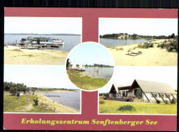 Senftenberger See, Großkoschen MS Glückauf, Strand Südseite, Niemtsch.. - Sonstige & Ohne Zuordnung