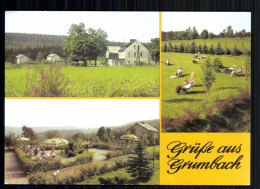 Grumbach, Kr. Annaberg, Ferienheim "Heilbrunnen" - Other & Unclassified