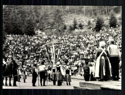 Steinbach-Langenbach/Thür., Naturtheater - Autres & Non Classés