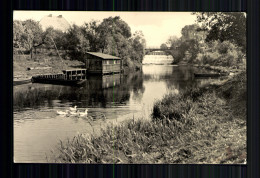 Märkisch-Buchholz, Am Kanal - Other & Unclassified