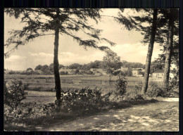 Kleinzerlang, OT Von Rheinsberg, Blick Zum Ort - Sonstige & Ohne Zuordnung