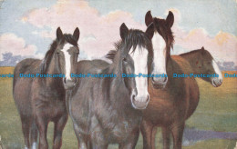 R674962 Horses. James Henderson. Arc Engraving. Series J 9. No. 3152. 1918 - World