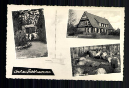 Steinkimmen/Oldenburg, Jugendhof, Ehrenmal, Großsteingrab - Other & Unclassified