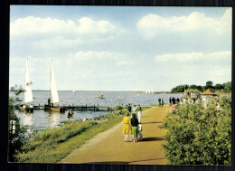 Steinhude Am Meer, Seepromenade - Other & Unclassified