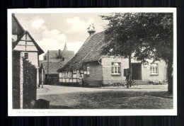 Steinhude Am Meer, Storchennest Auf Dem Dach - Sonstige & Ohne Zuordnung