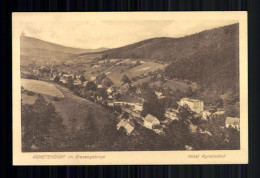 Agnetendorf Im Riesengebirge, Ortsansicht Mit Hotel Agnetenhof - Schlesien