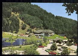 Berg-Wild-Park Steinwasen, Bei Freiburg - Other & Unclassified