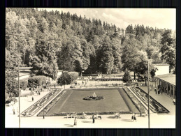 Bad Elster, Blick Auf Den Badeplatz - Autres & Non Classés