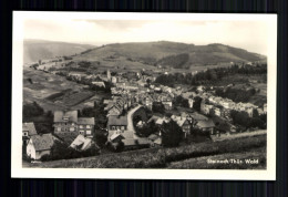 Steinach/Thür. Wald, Blick Auf Den Ort - Andere & Zonder Classificatie