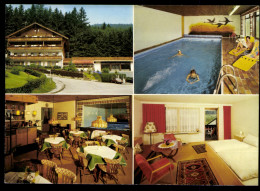 Wildbad-Calmbach/Schwarzwald, Hotel-Pension, Innenansichten, Hallenbad, - Other & Unclassified