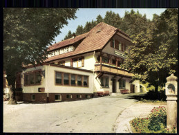 Bad Rippoldsau/Schwarzwald, Gasthof U. Metzgerei Zur Holzwälderhöhe - Other & Unclassified