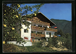 Cartolina Schenna /Meran, Pension Graf Hartwig, St. Georgenstr.38 B, Terrasse Vorm Haus  - Sonstige & Ohne Zuordnung