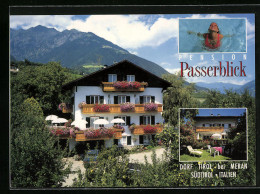 Cartolina Dorf Tirol /Meran, Pension Passerblick, Jaufenstr. 22, Haus Vor Bergpanorama  - Sonstige & Ohne Zuordnung