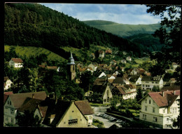 Herrenalb/Schwarzw., Gesamtansicht, Kirche - Other & Unclassified