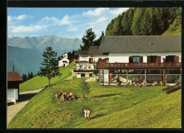 Cartolina Schenna /Meran, Berggasthof Taser Mit Hallenbad  - Andere & Zonder Classificatie