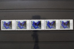 Deutschland (BRD), MiNr. 2877, Fünferstreifen ZN 55, Postfrisch - Rollenmarken
