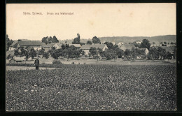 AK Waltersdorf /Sächs. Schweiz, Ortspartie Vom Feld Aus  - Otros & Sin Clasificación