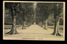 Ostseebad Travemünde, Große Allee - Sonstige & Ohne Zuordnung