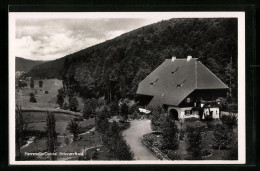 AK Herrenalb /Gaistal, Anwesen Mit Grünanlage  - Bad Herrenalb