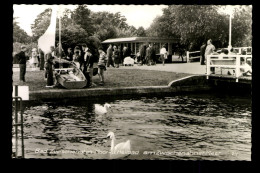 Bad Zwischenahn, Zwischenahner Meer, Segelboot - Other & Unclassified