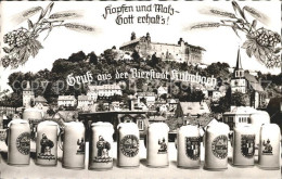 72291860 Kulmbach Hopfen Und Malz Gott Erhalt's Bierstadt Bierkruege Schloss Kir - Kulmbach