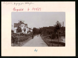 Fotografie Brück & Sohn Meissen, Ansicht Burgstädt, Eingang Zum Wettinhain Mit Villa  - Plaatsen