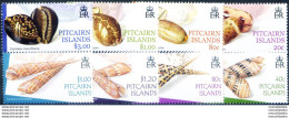 Conchiglie 2001-2004. - Pitcairninsel