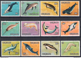 1984 Cook Islands, Balene E Delfini - N. 752-63 - MNH** - Otros & Sin Clasificación