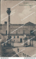 Bc377 Cartolina Brindisi Citta' Antiche Colonne Romane 1911 - Brindisi