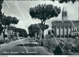 Bi197 Cartolina Albinia Via Maremmana Provincia Di Grosseto - Grosseto