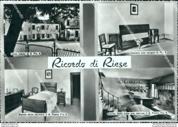 Cf576 Cartolina Ricordo Di Riese Provincia Di Treviso Veneto - Treviso
